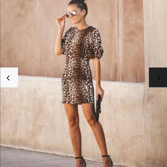 ❤️NEW Animal print Dress - Picture 3 of 8